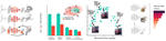 How to Train Neural Field Representations: A Comprehensive Study and Benchmark